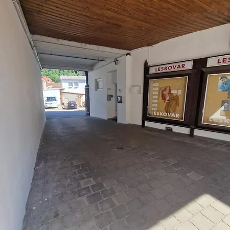 Gudzevic Fu A 4 Διαμέρισμα Gloggnitz